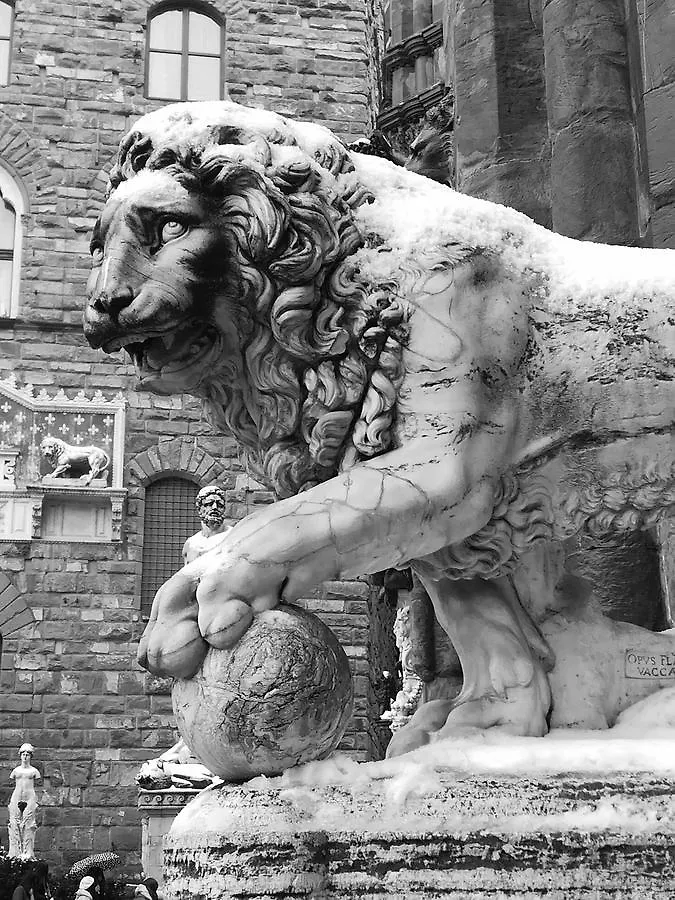 Lost In Florencia Pensión