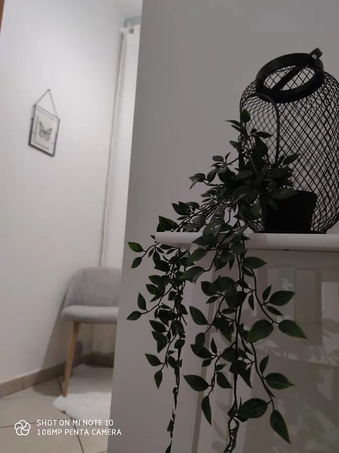 בית הארחה Lost In פירנצה